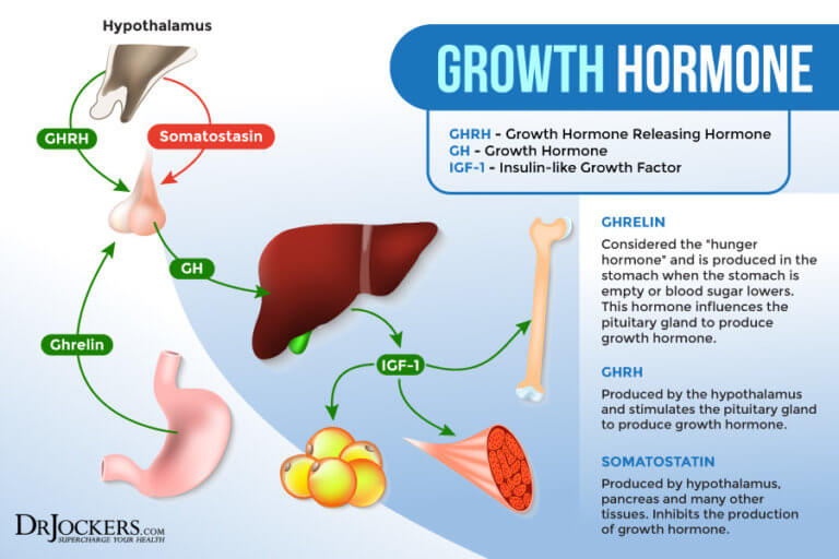 10 Ways to Optimize Human Growth Hormone Naturally