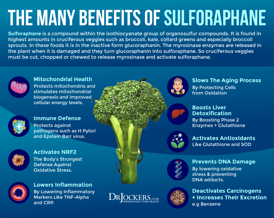 Sprouts Broccoli Benefits