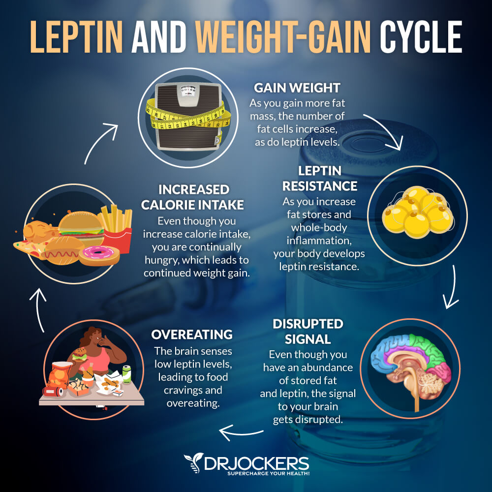 leptin