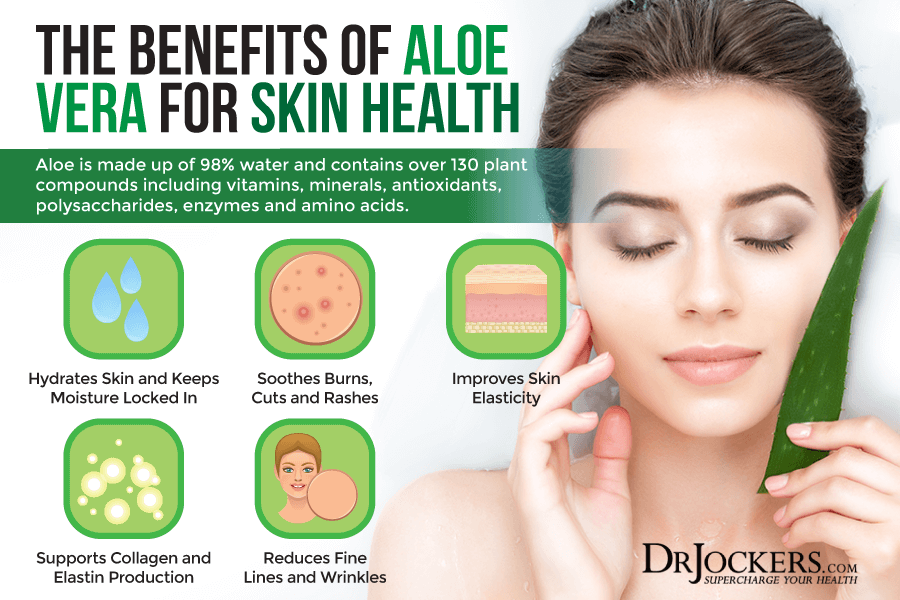 Aloe, 6 Benefits Of Aloe + 5 Uses For The Skin