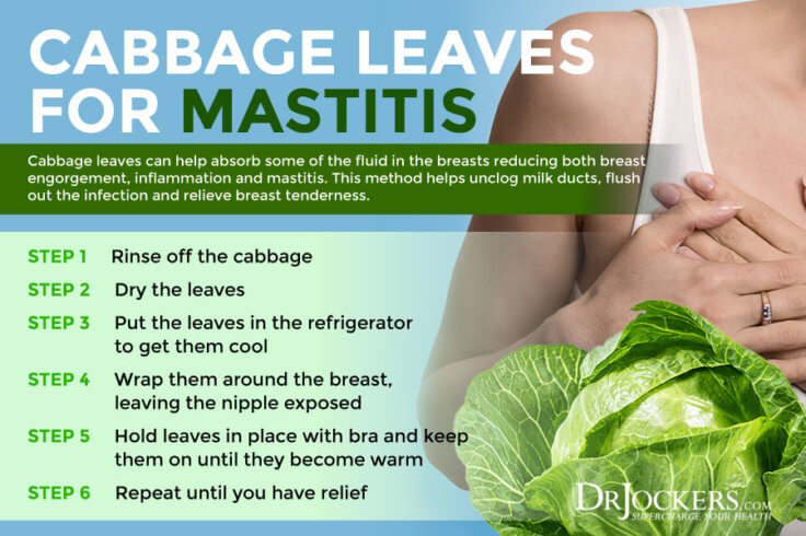 how-to-use-cabbage-leaves-for-engorgement-mastitis-and-weaning