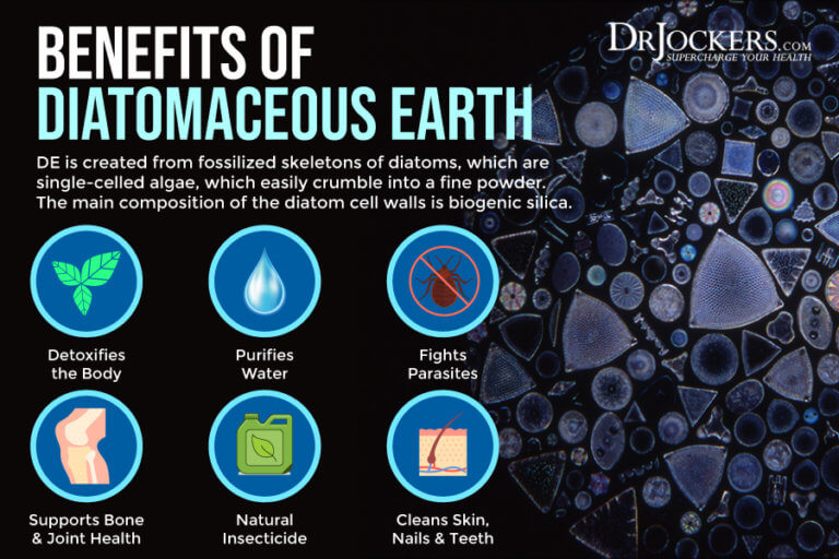 How to Use Toxin Binders to Cleanse the Body