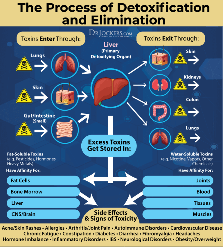 How to Use Toxin Binders to Cleanse the Body