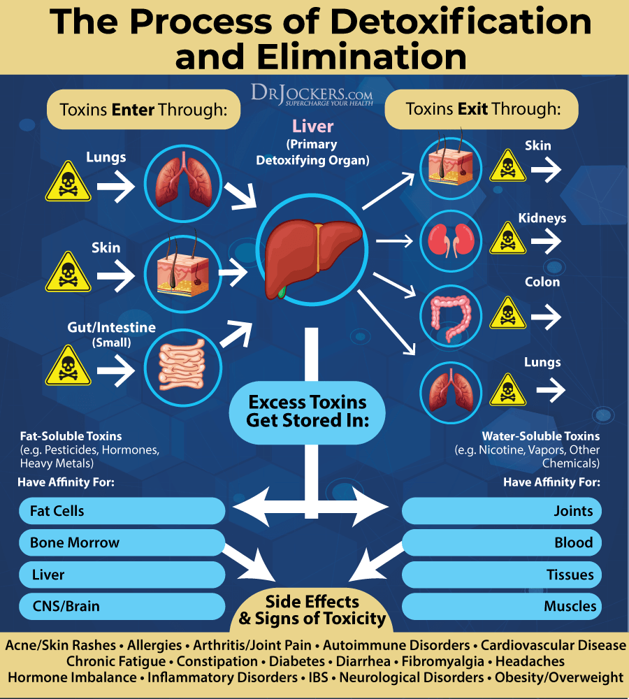 Hashimotos Thyroiditis