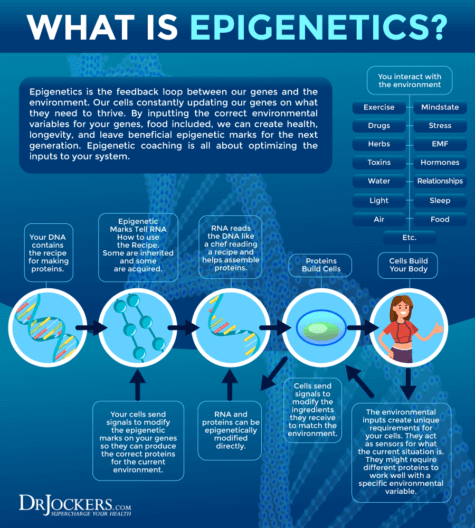 How Your Genes Impact Weight Loss and Metabolism - DrJockers.com