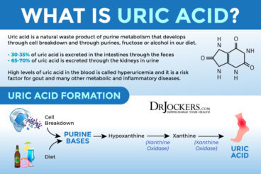 Uric Acid: A Key Player in Cardio, Brain, and Metabolic Diseases