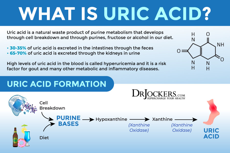Uric Acid, Uric Acid: A Key Player in Cardio, Brain, and Metabolic Diseases