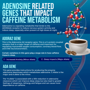 Are You A Slow Caffeine Metabolizer? - DrJockers.com