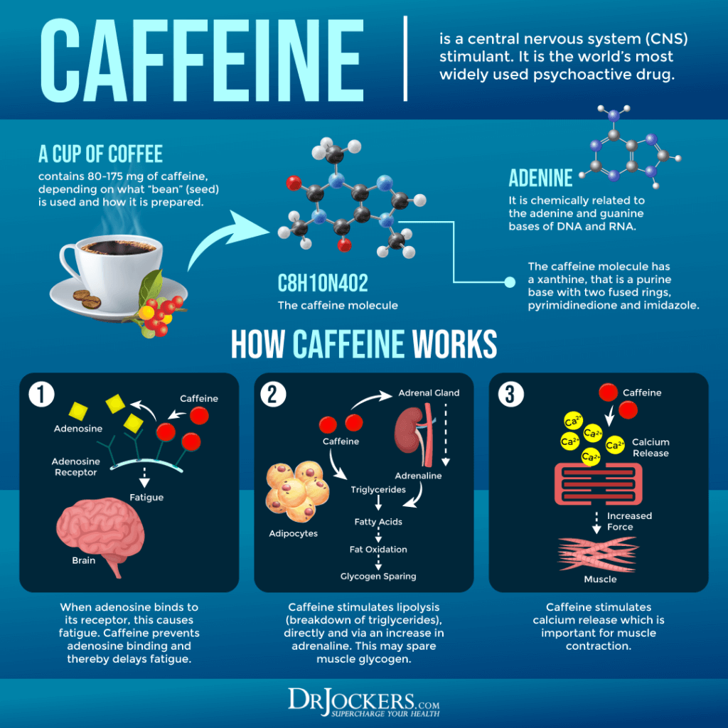 Are You A Slow Caffeine Metabolizer DrJockers dunkin-donuts-coffee-caffeine-guide-cheat-day-design