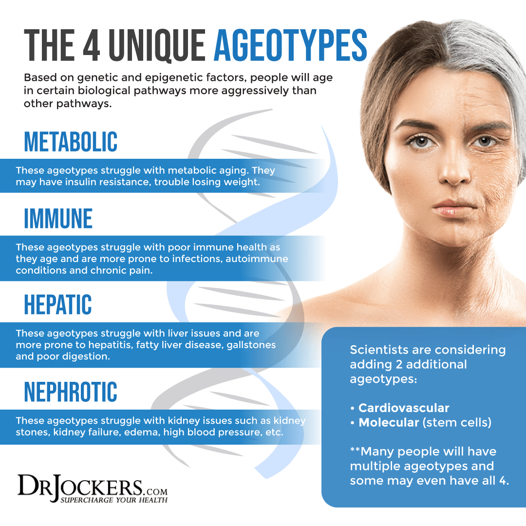 ageotypes, Ageotypes and Your Unique Aging Response
