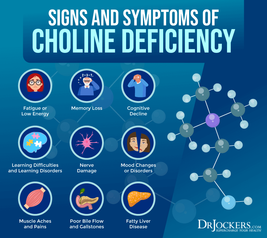 Choline Signs Of Deficiency Benefits And Food Sources