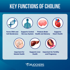 Choline: Signs of Deficiency, Benefits, and Food Sources