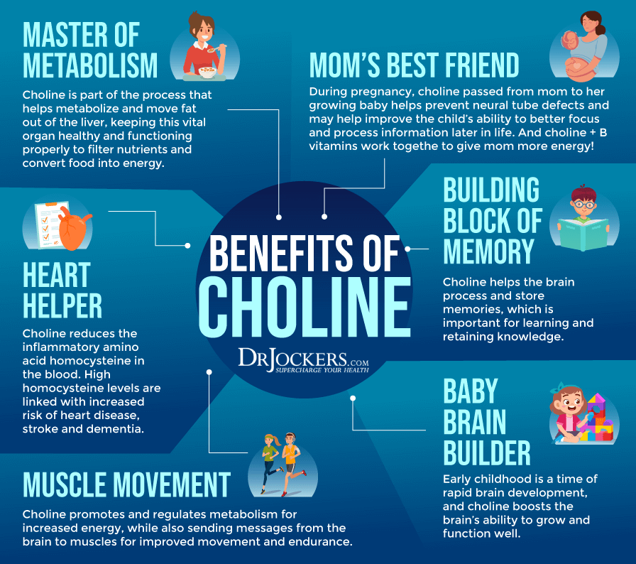 Benefits Of Taking Choline And Inositol | 7petals.in
