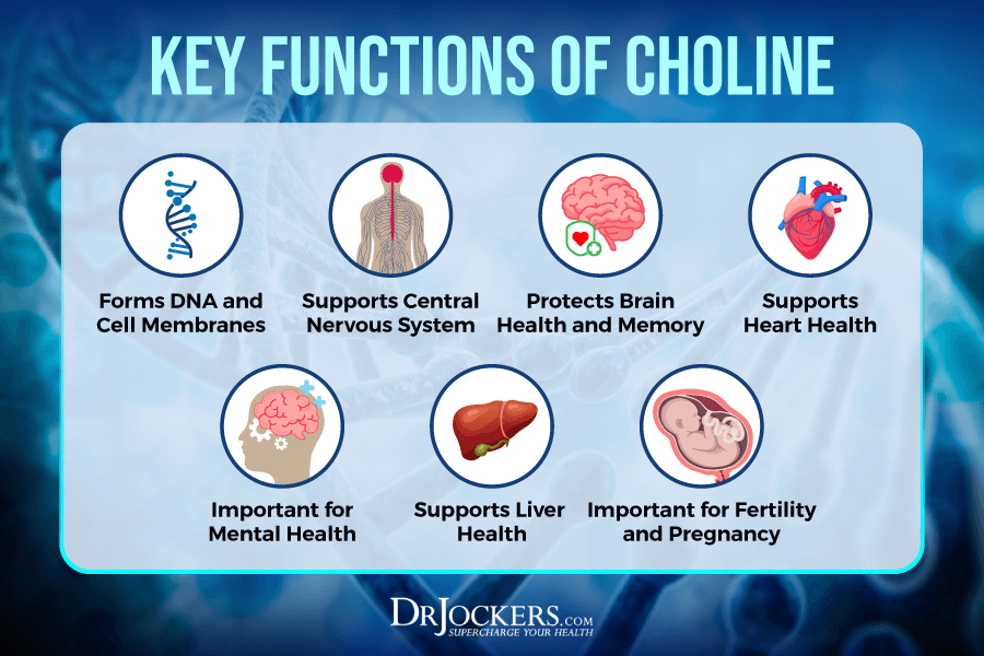 choline, Choline: Signs of Deficiency, Benefits, and Food Sources