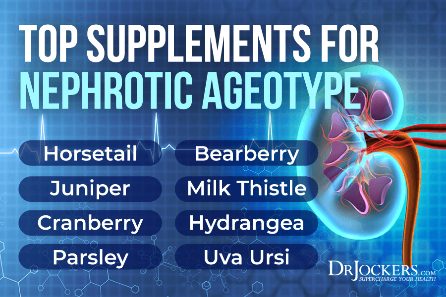 ageotypes, Ageotypes and Your Unique Aging Response
