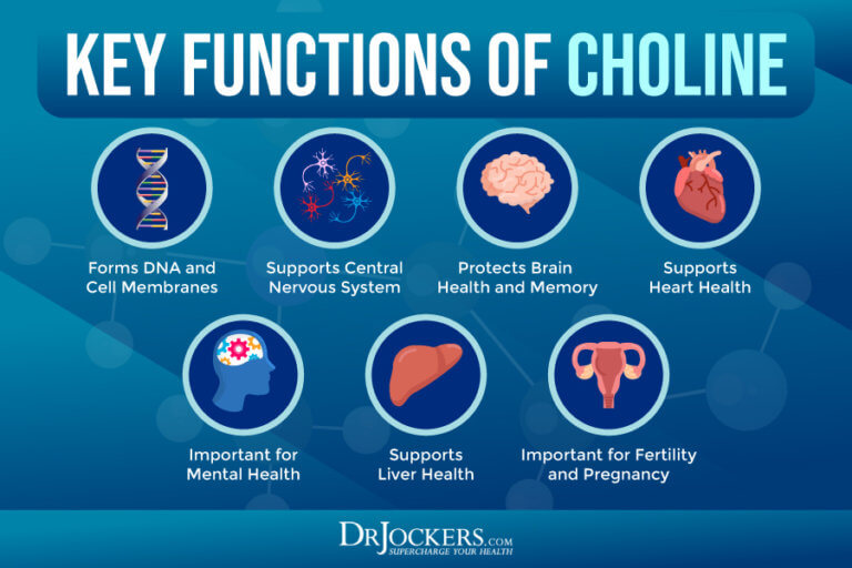 Choline: Signs Of Deficiency, Benefits, And Food Sources - DrJockers.com