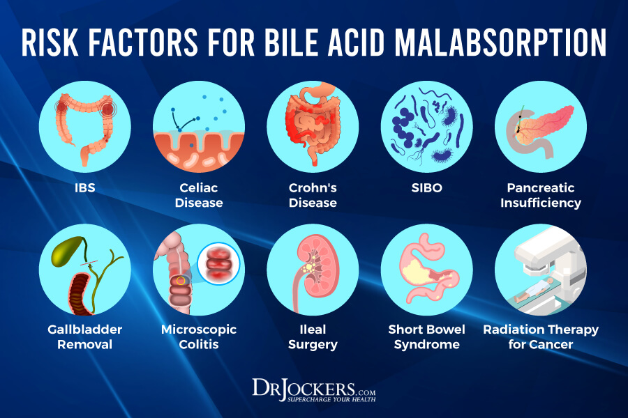 Bile Acid Malabsorption, Bile Acid Malabsorption: Symptoms &#038; Solutions