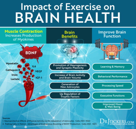 Building Muscle: Best Foods, Fitness and Nutrition Strategies