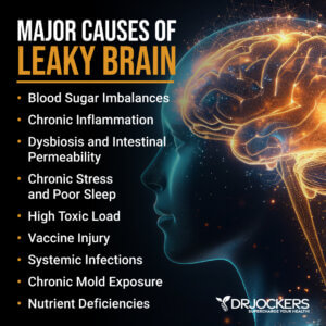 Leaky Brain Syndrome: Symptoms, Causes and Natural Solutions