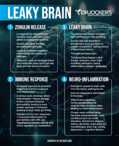 Leaky Brain Syndrome: Symptoms, Causes and Natural Solutions