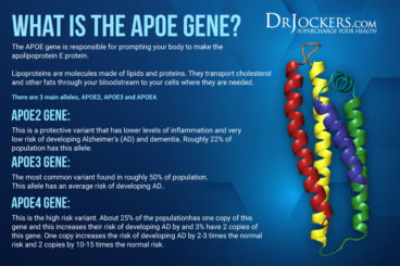 APOE4 Gene And Your Risk Of Alzheimer's - DrJockers.com