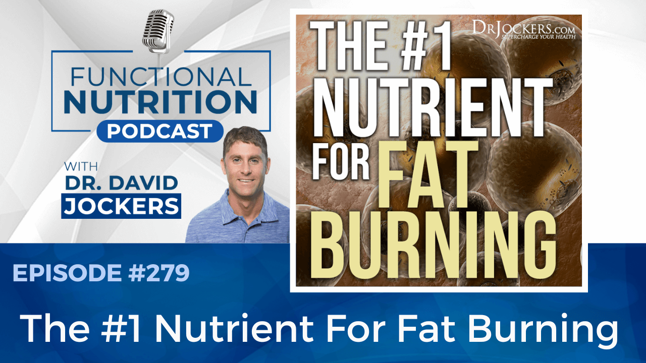 , Episode #279 &#8211; The #1 Nutrient For Fat Burning