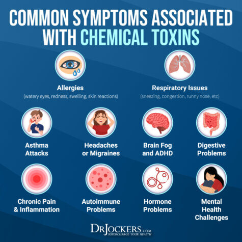 My Favorite Non-Toxic Dishwasher Detergent - DrJockers