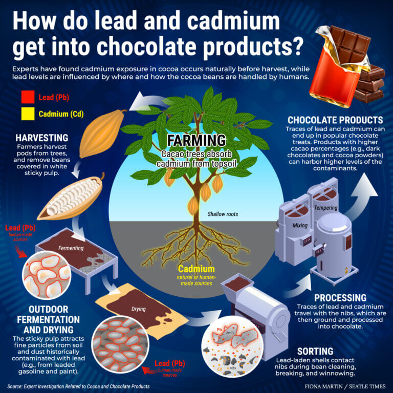 Heavy Metals in Chocolate What You Need to Know?