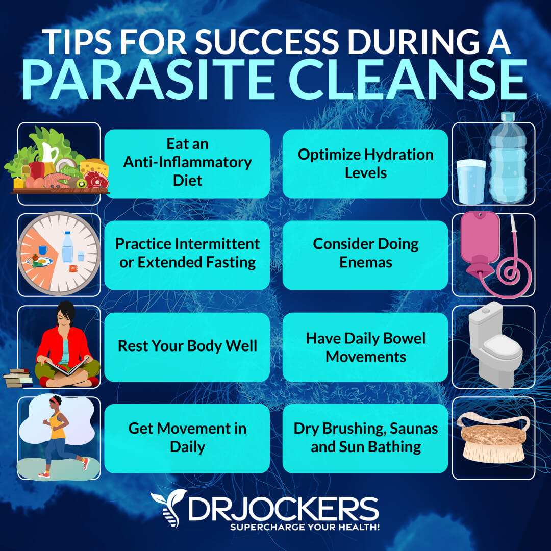 Parasite Infections: Functional Lab Analysis To Identify Parasites