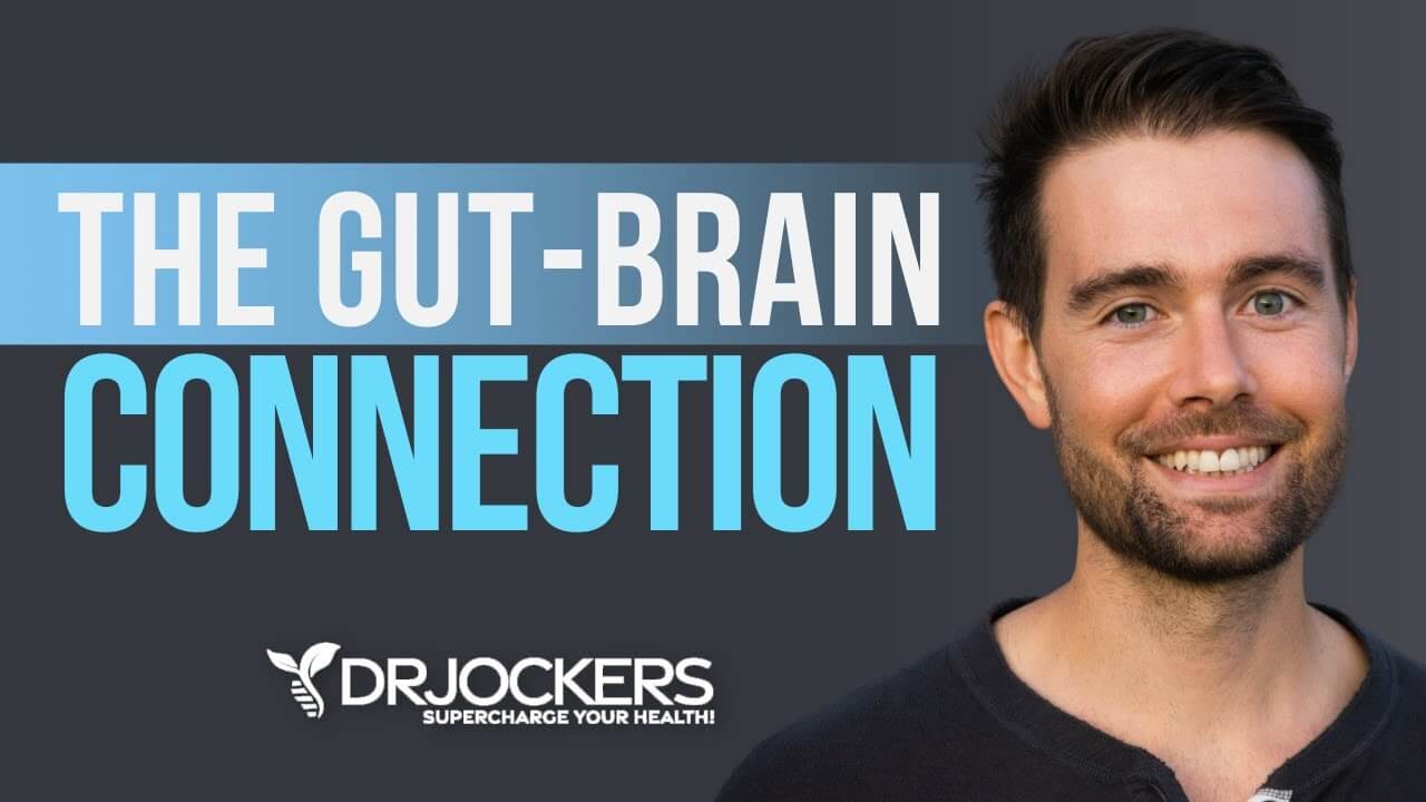 The Gut - Brain Connection