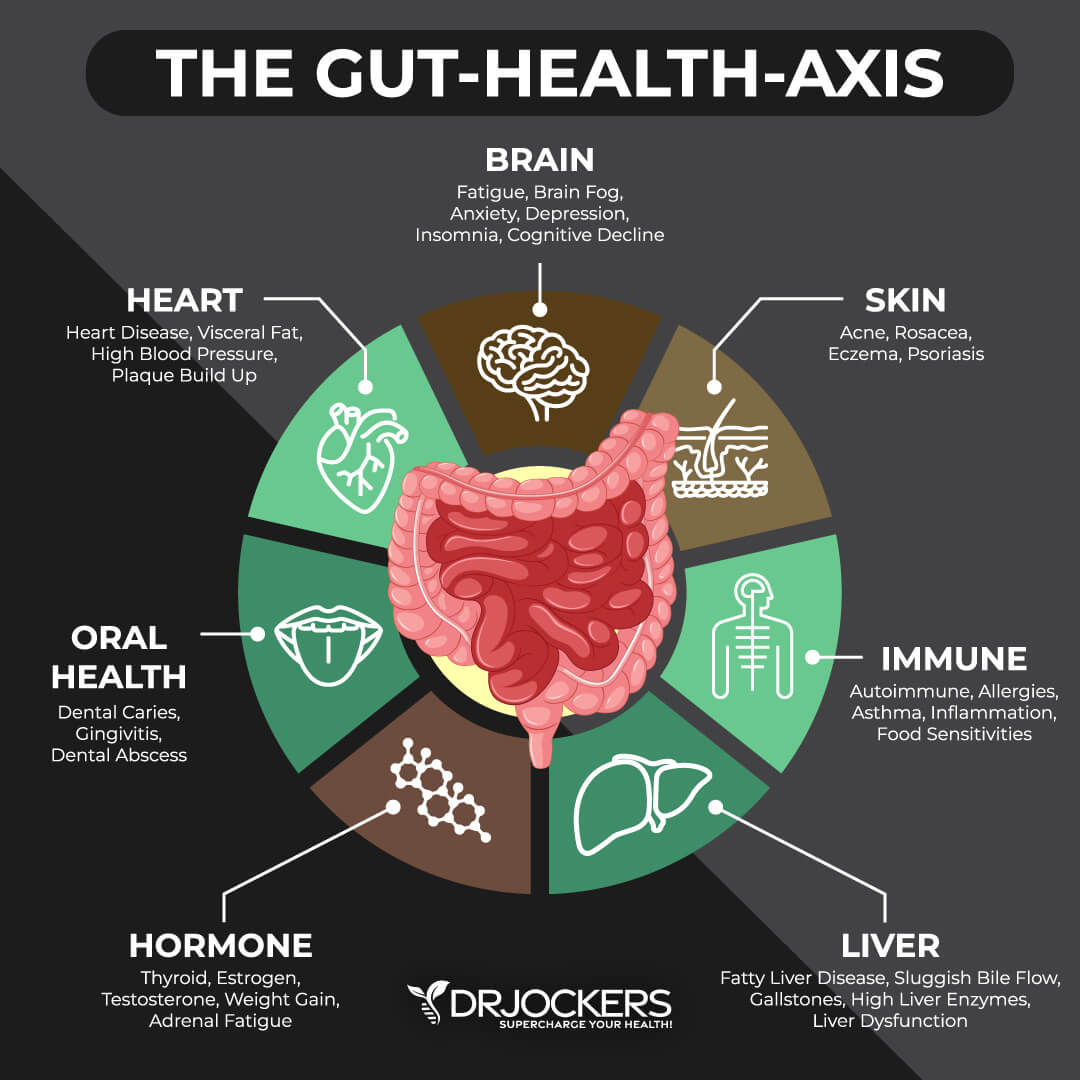 Role of estrogen and stress on the brain-gut axis