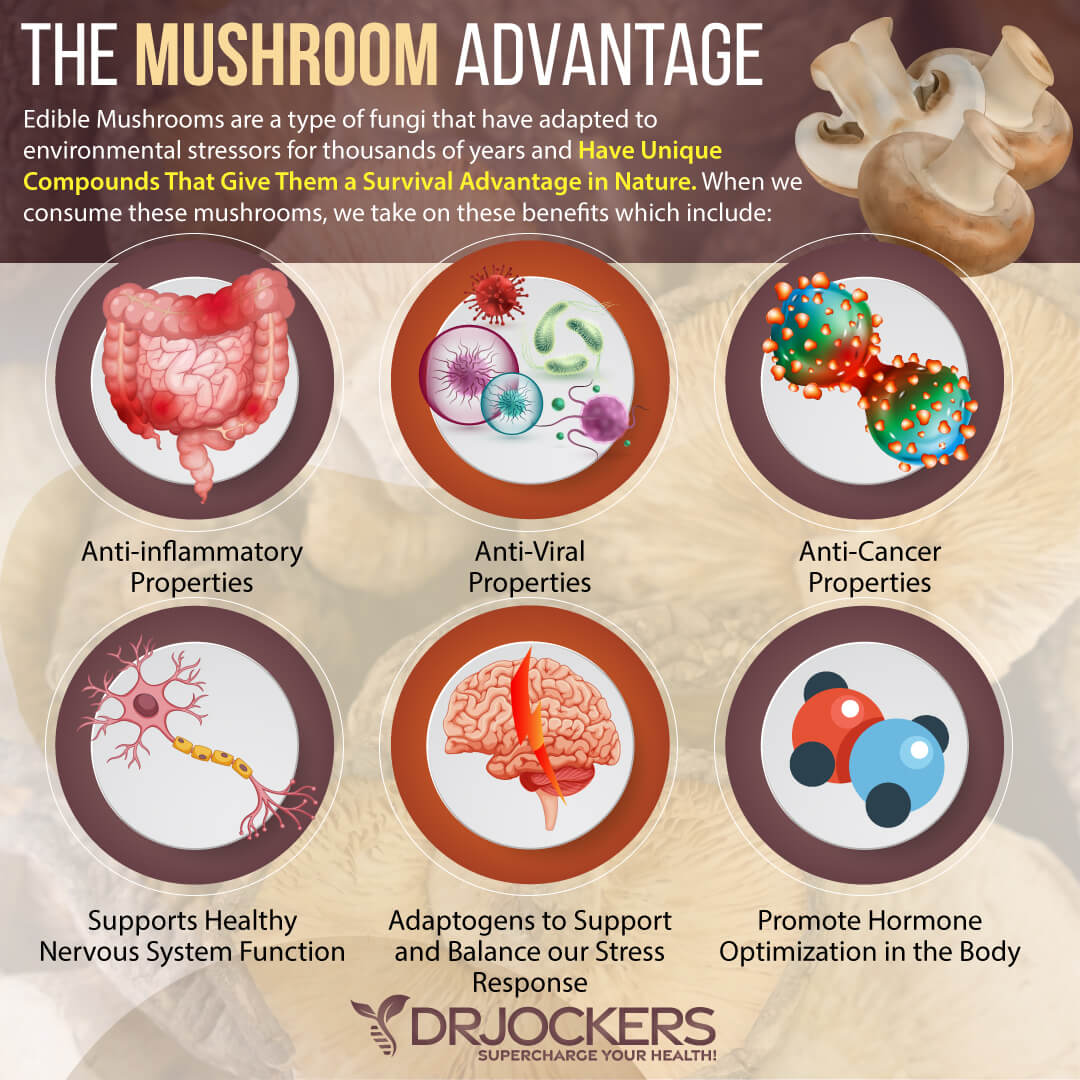 autoimmune diet