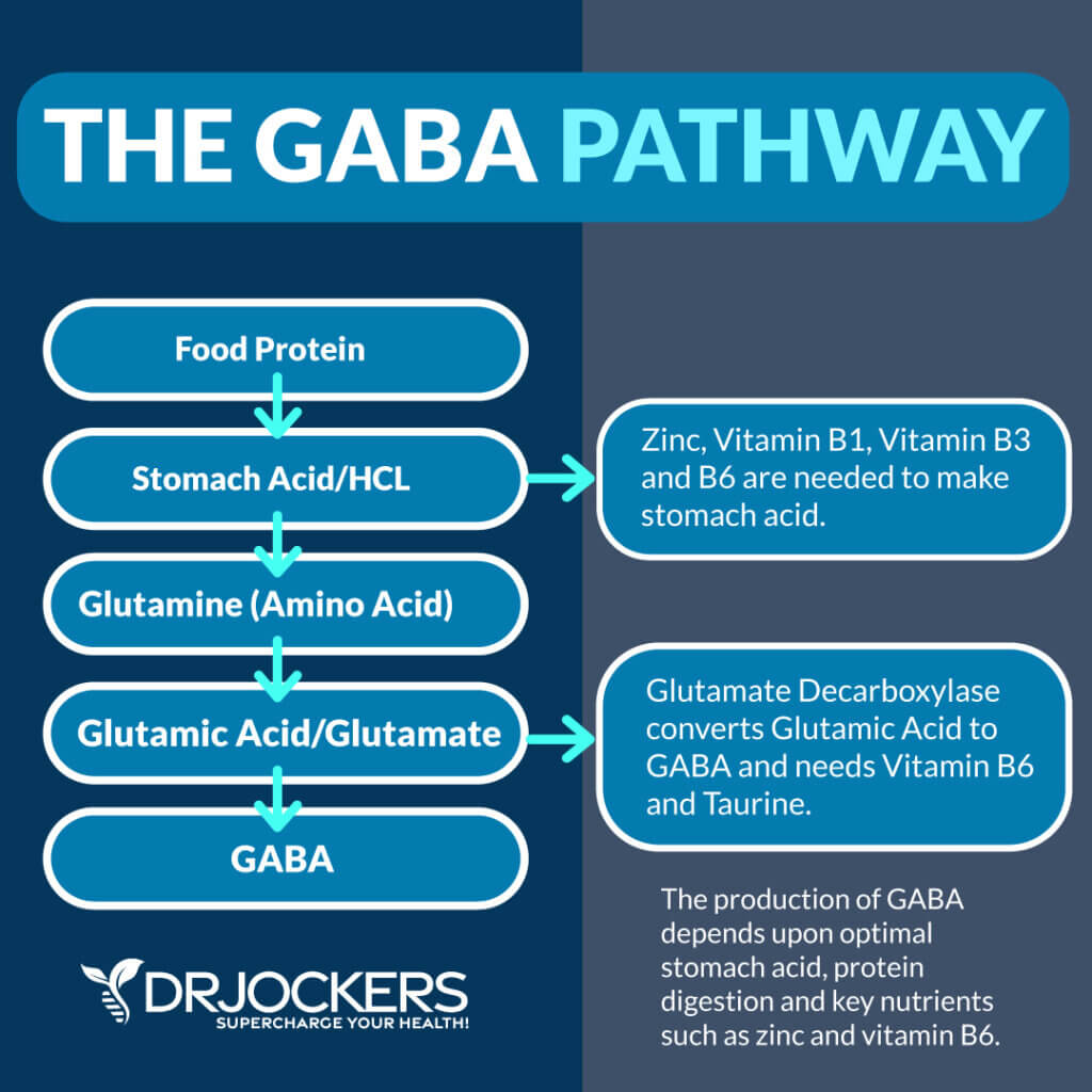 Is Your Brain Making Enough GABA?