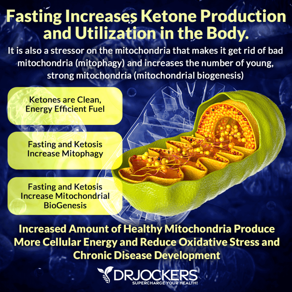 How To Improve Mitochondrial Function Naturally Mitochondrial Health: 5 Ways to Improve Cellular Energy