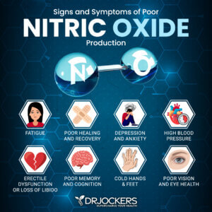 Nitric Oxide Benefits and How to Increase Levels - DrJockers.com