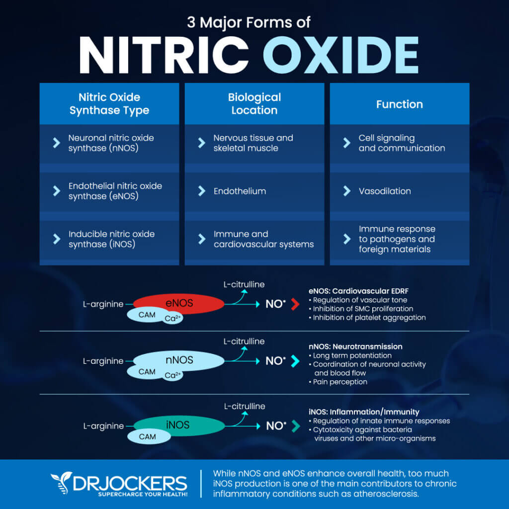 Nitric Oxide Benefits and How to Increase Levels