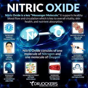 Nitric Oxide Benefits and How to Increase Levels - DrJockers.com