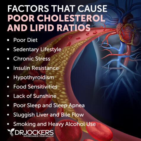 Cholesterol: What is It and What are Healthy Levels? - DrJockers.com