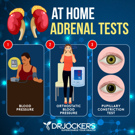 How to Test Your Adrenal Function - DrJockers.com