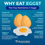 10 Key Health Benefits of Eggs in Your Diet - DrJockers.com