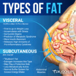 Visceral Fat: What is It and How it Drives Up Inflammation