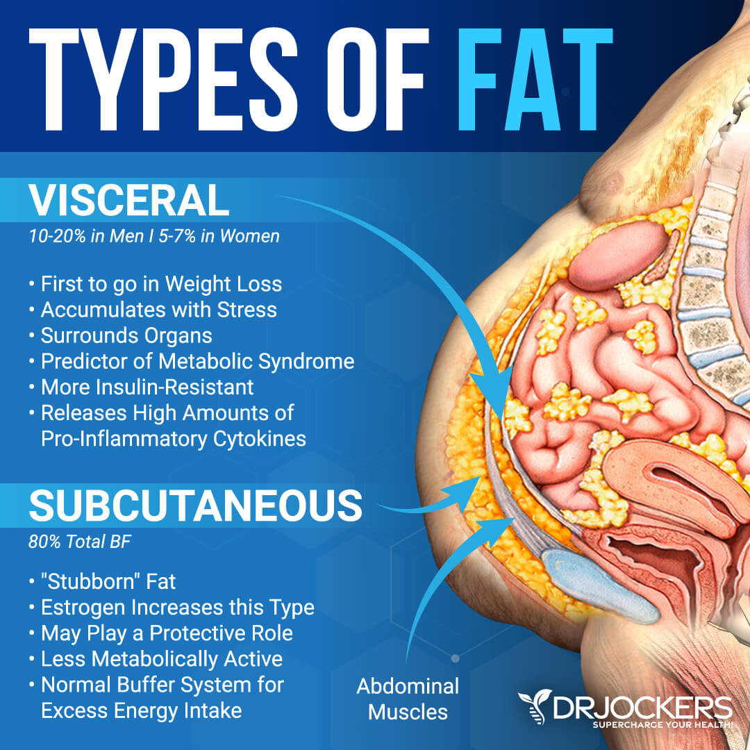 Visceral fat and obesity