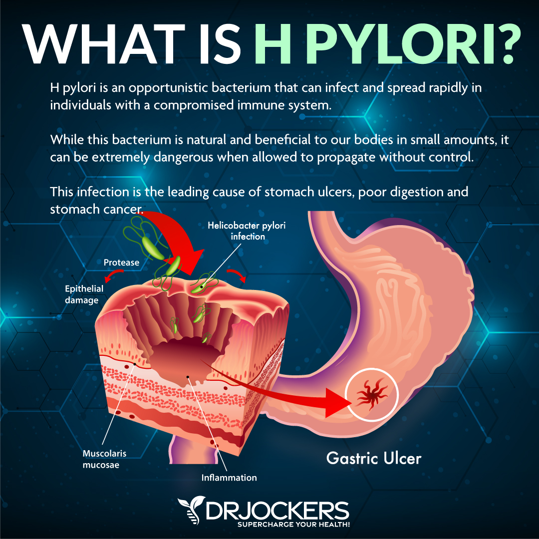 h pylori protocol