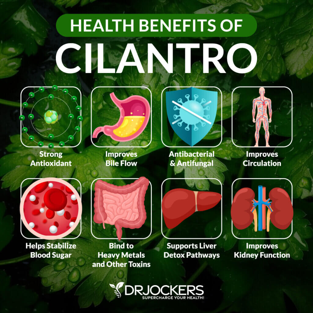 Bile Flow Top 15 Herbs to Support Liver & Gallbladder