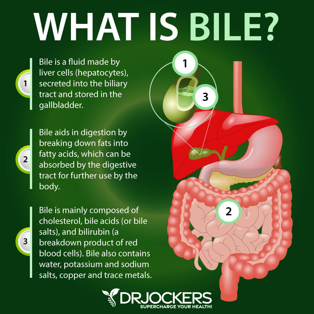 bile flow