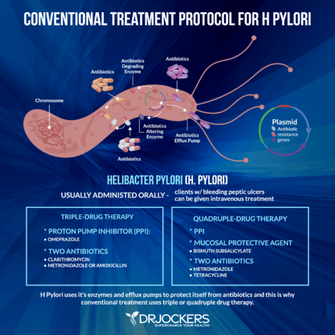 H Pylori Protocol: Diet & Herbal Strategies - Drjockers.com