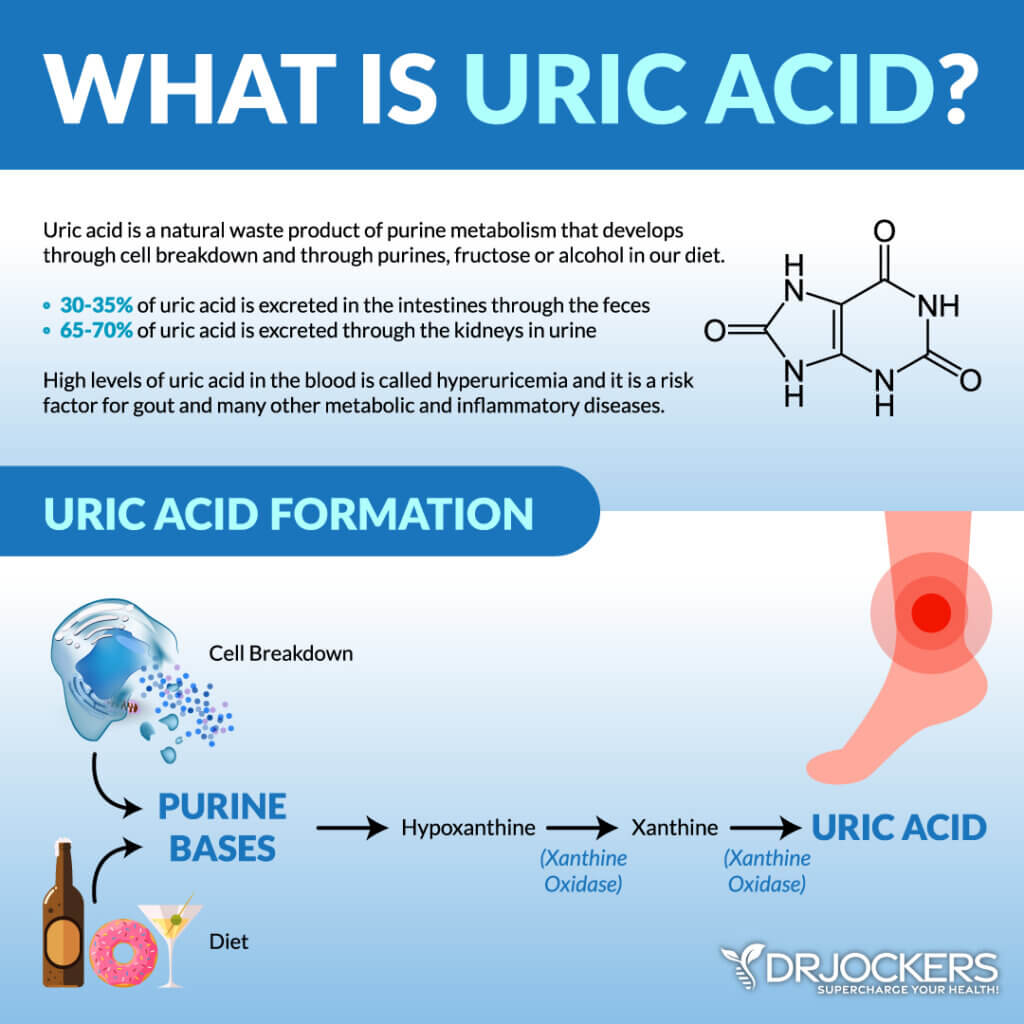 Uric Acid: A Key Player in Cardio, Brain, and Metabolic Diseases