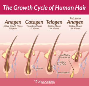 Female Hair Loss: Causes and Natural Support Strategies - DrJockers.com