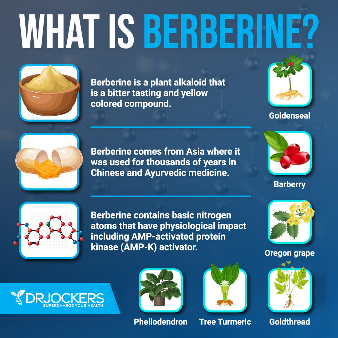 berberine