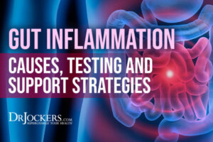 Gut Inflammation: Causes, Testing & Support Strategies